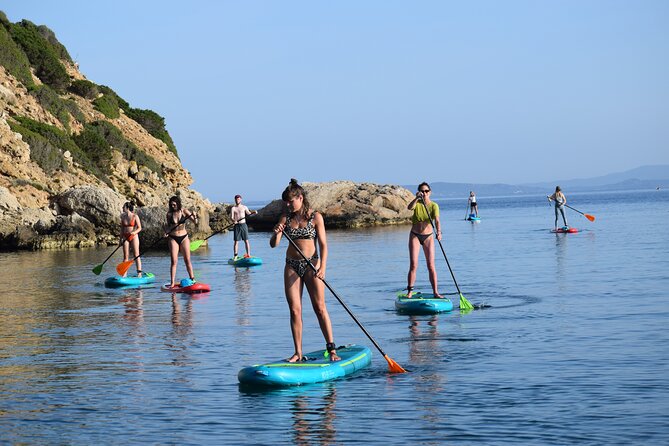 Stand Up Paddle With Dolphins, aperitif and pictures - The guide team’s role: skills plus local nature talk