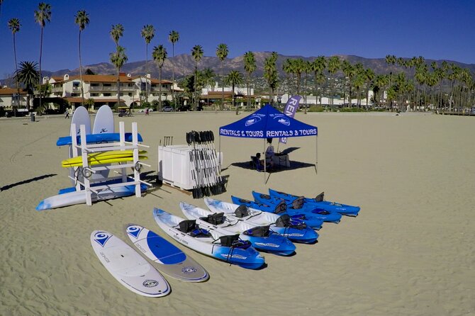 Stand-Up Paddleboard Lesson in Santa Barbara - Marine life spotting: seals, fish, and maybe dolphins