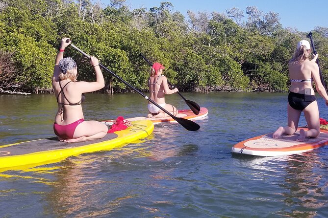 Stand Up Paddleboard Rental on Big Hickory Pass - Key highlights to know before you go