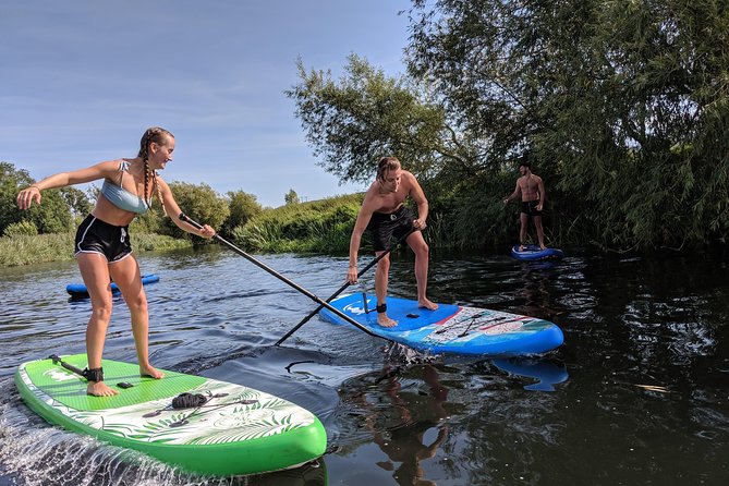 Stand-up Paddleboard SUP Safari on The River Avon For Beginners - Key highlights that make this SUP safari worth your time