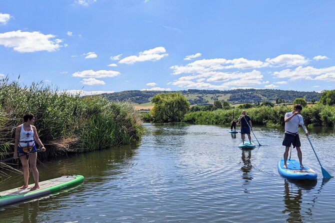 Stand-up Paddleboard SUP Safari on The River Avon For Beginners - Why the River Avon SUP safari works so well for first-timers