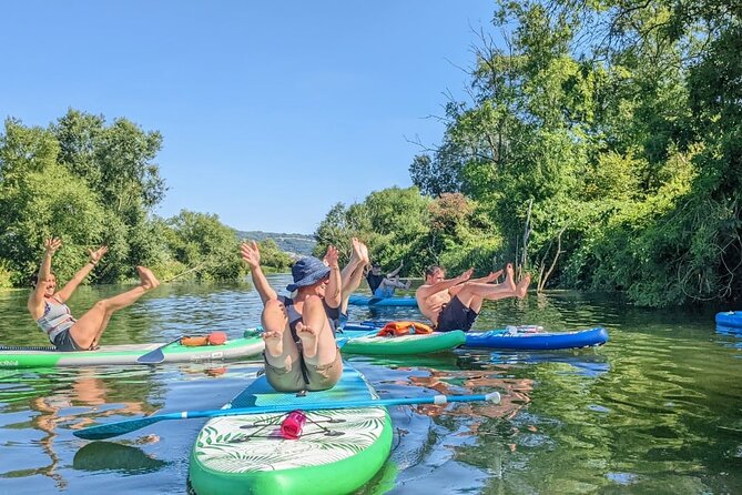 Stand-up Paddleboard SUP Safari on The River Avon For Beginners - The River Avon safari: wildlife, pace, and why small groups feel better