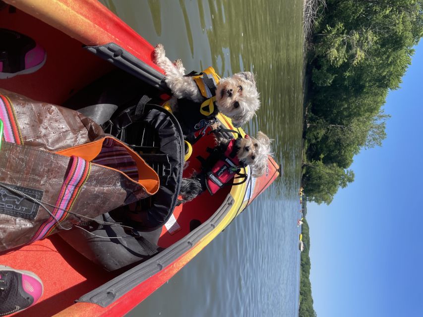 Starved Rock State Park: Guided Kayaking Tour - St. Peter’s sandstone bluffs: the view you don’t get from the trails