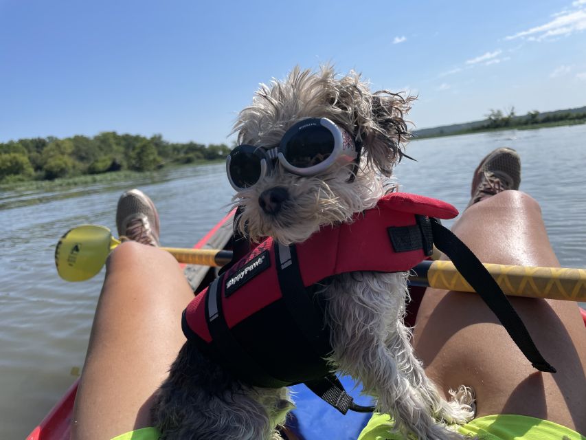 Starved Rock State Park: Guided Kayaking Tour - Gear and setup: the simple stuff that prevents headaches
