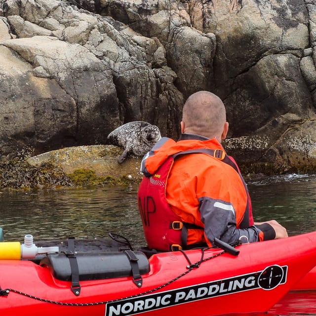 Stavanger: Lysefjord Kayak Safari (Waterfalls & Pulpit Rock) - Vagabond’s Cave and cascading waterfalls: the route turns dramatic
