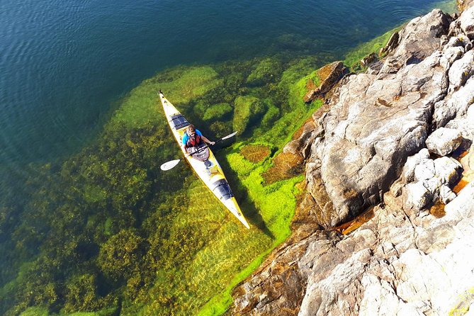 Stockholm Archipelago Kayaking Day Tour - Key highlights worth planning for