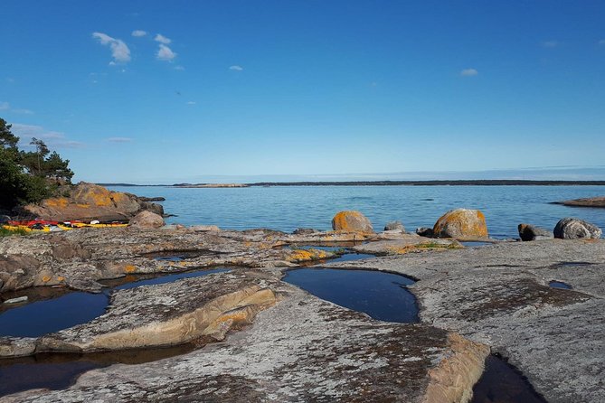 Stockholm Archipelago Kayaking Day Tour - The scenery and wildlife learning you can count on