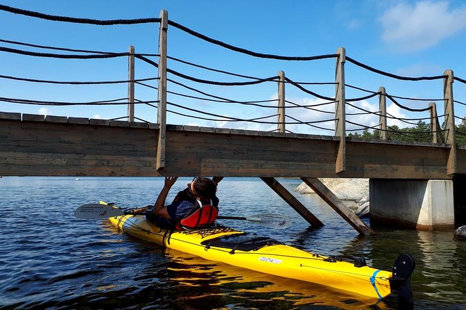 Stockholm Archipelago Kayaking Day Tour - The guide experience: small-group energy without the chaos