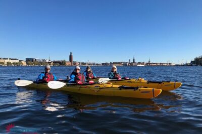 Stockholm City Kayak Tour - Meeting point reality: how check-in and timing can make or break your tour