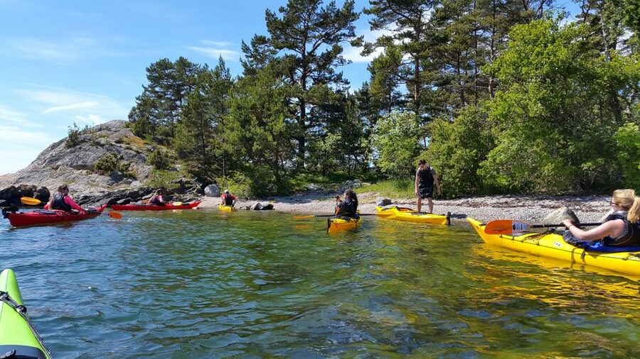 Stockholm: Full-Day Archipelago Kayaking Adventure - Viewpoints on foot: tower views and cliff jumping options