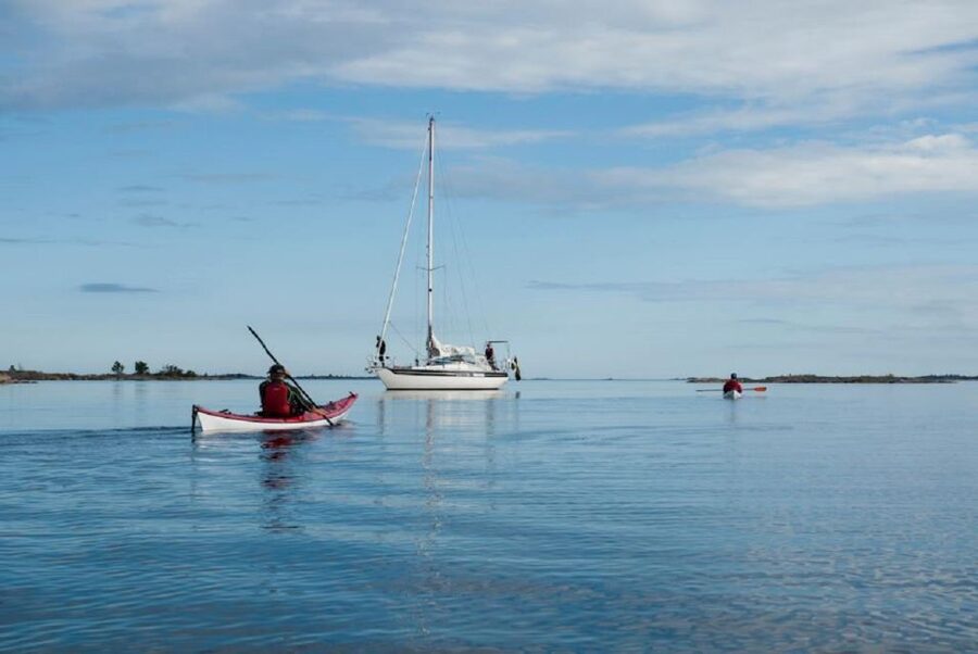 Stockholm: Full-Day Archipelago Kayaking Adventure - Wildlife spotting: when to look for eagles and seals