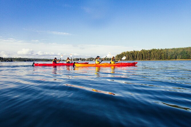 Stockholm: Kayaking tour around Vaxholm Archipelago with Fika - Why This Kayak Tour Works So Well Near Stockholm
