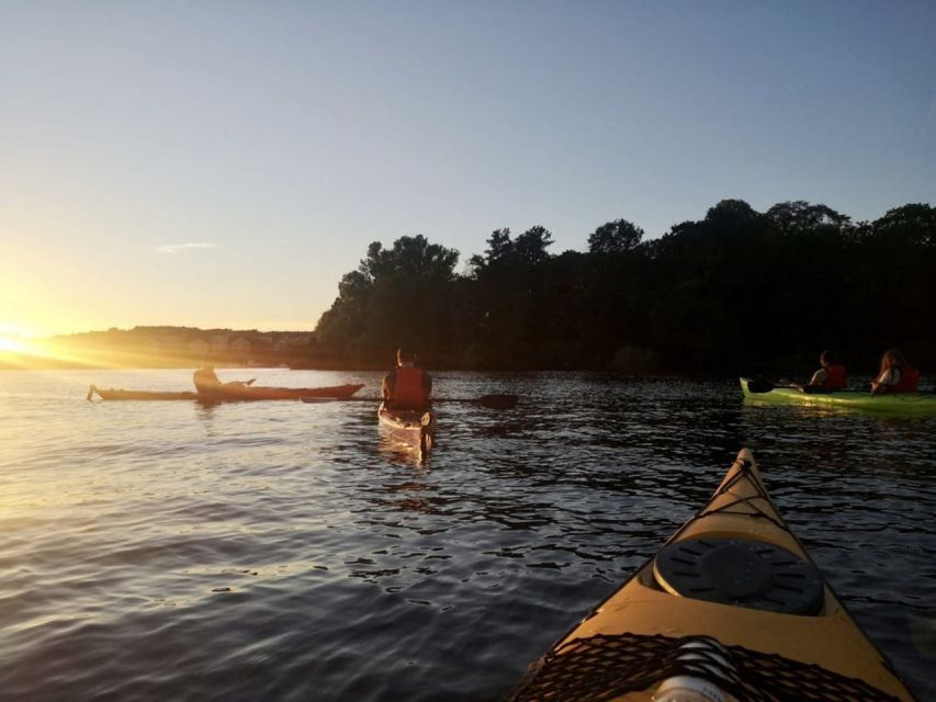 Stockholm: Sunset Kayak Tour in the City + Swedish Fika - The fika break: organic pastries and coffee on the water