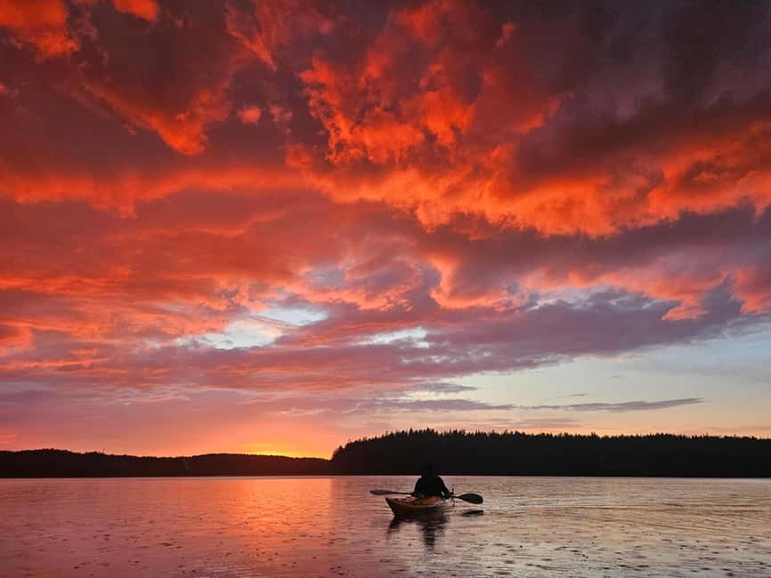 Stockholm: Sunset Kayak Tour on Lake Mälaren with Tea & Cake - Key highlights you will actually remember