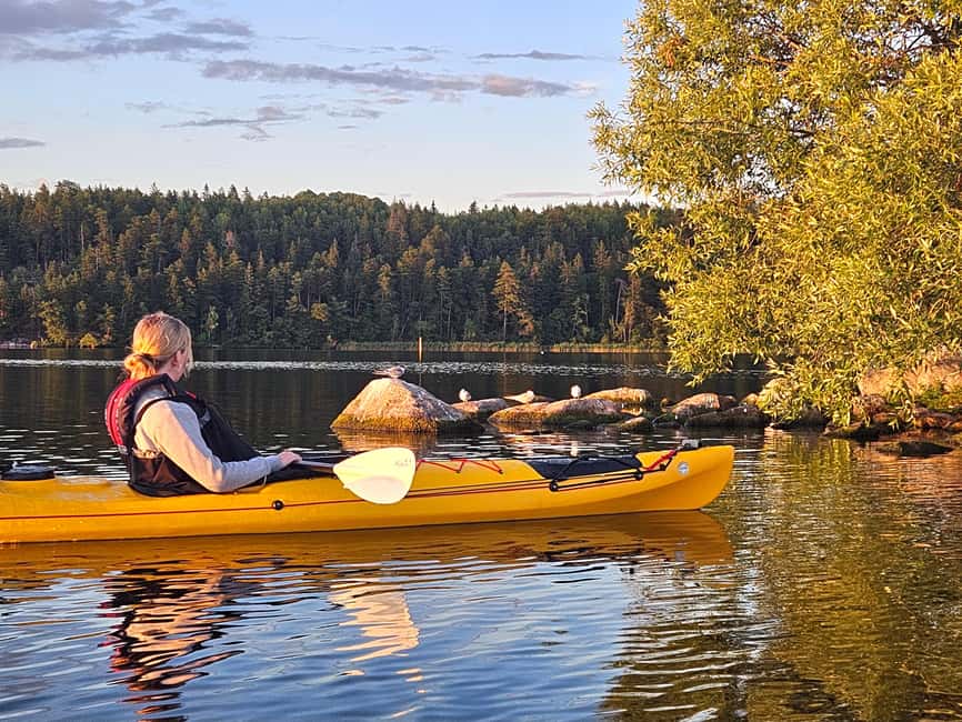 Stockholm: Sunset Kayak Tour on Lake Mälaren with Tea & Cake - Weather, effort, and who this tour is best for