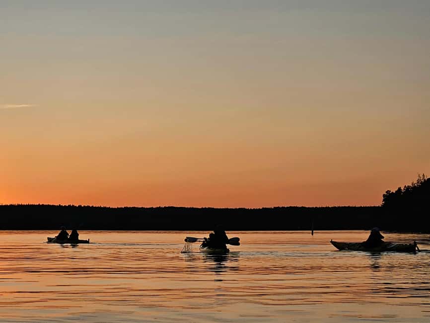 Stockholm: Sunset Kayak Tour on Lake Mälaren with Tea & Cake - The fika break on a beach: tea, cake, and a proper pause