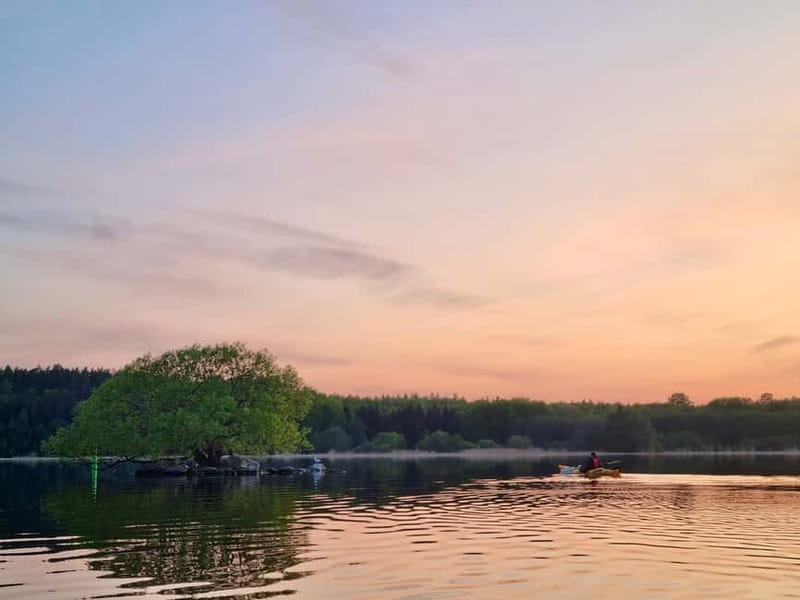 Stockholm: Sunset Kayak Tour on Lake Mälaren with Tea & Cake - Beaver safari in twilight: how to spot without overthinking it