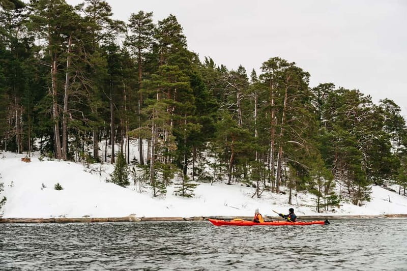 Stockholm: Winter Kayaking, Swedish Fika, and Hot Sauna - Who this is best for (and who should skip it)