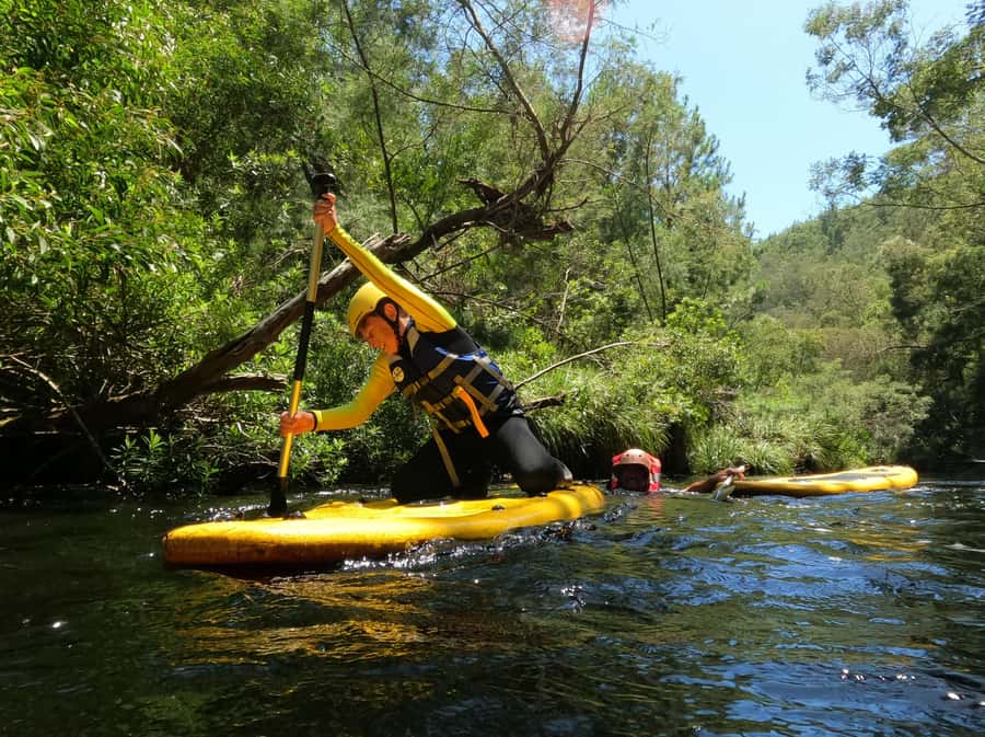 Stormsrivier: Green Route Tubing and Paddle-Boarding Tour - Plaatbos Forest Walk: The Indigenous River-Green Scenery Moment