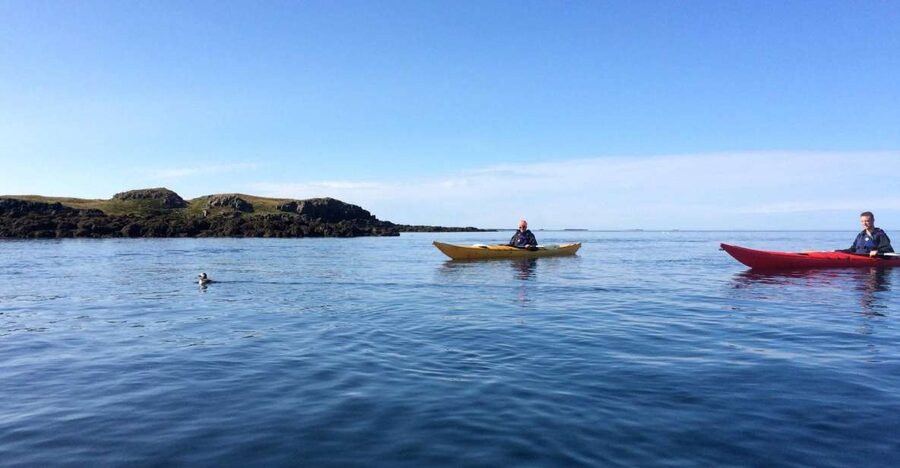 Stykkishólmur: 2-Hour Sea Kayak Tour - Breiðafjörður shipwrecks and the Thorgeir: eerie history at sea level