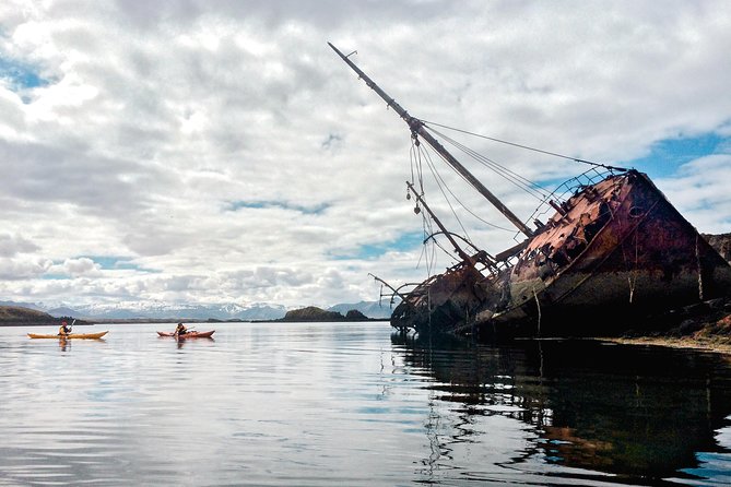 Stykkisholmur Sea kayak Day tour - The Paddle Itself: Birds, Seals, and the Logic of Where You Go