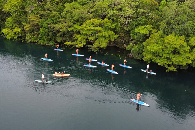 Sunrise by Paddle or Kayak with Floating Picnic - Paddling Through the Channel to Your First Swim