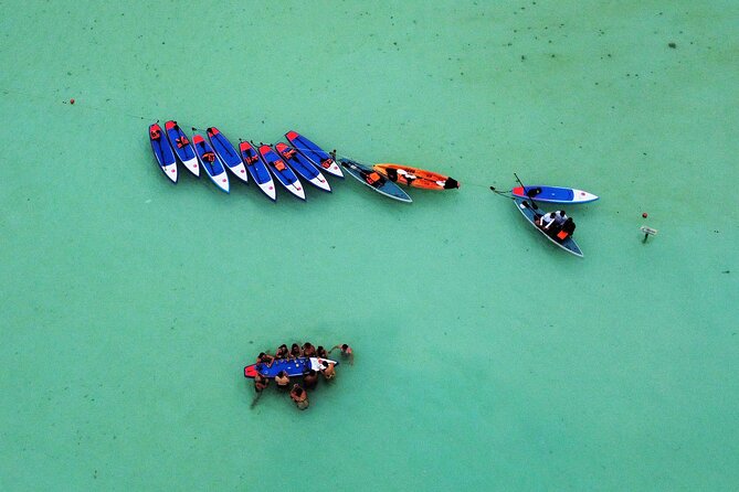 Sunrise by Paddle or Kayak with Floating Picnic - Bird Sanctuary Floating Picnic: Breakfast With Wildlife Noise