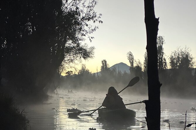 Sunrise Kayak Tour in Xochimilco - Stop at Xochimilco: the chinampa breakfast option (and why it’s worth considering)