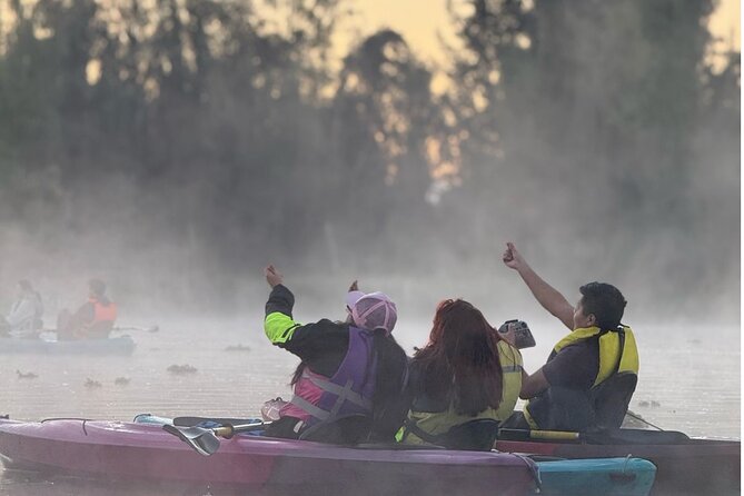 Sunrise Kayak Tour in Xochimilco - After the tour: back to the city