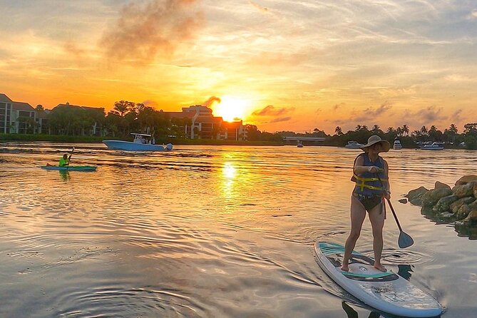 Sunrise Paddle Boarding Adventure in Jupiter - Wildlife chances: what you might see from your board