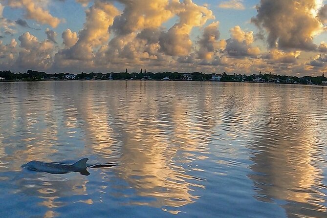 Sunrise Paddle Boarding Adventure in Jupiter - Who this Jupiter paddle boarding adventure suits best