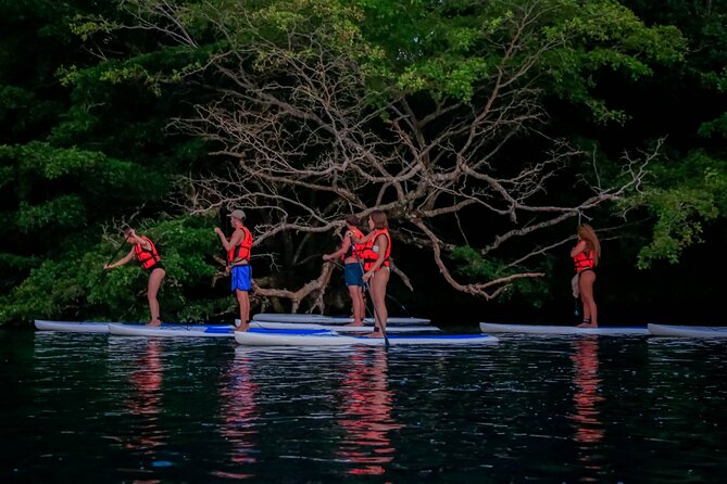 Sunrise Paddle Quest: Embrace the Dawn on Bacalar's Waters - What’s included for $38.75: value check you can feel