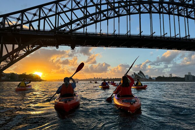 Sunrise Paddle Session on Syndey Harbour (single kayak) - Key highlights you’ll feel right away