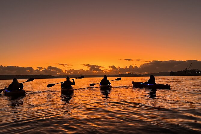 Sunrise Paddle Session on Syndey Harbour (single kayak) - What to wear and bring so you don’t spend the day annoyed