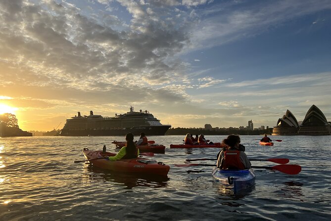 Sunrise Paddle Session on Syndey Harbour (single kayak) - Who should book this sunrise kayak, and who might skip it