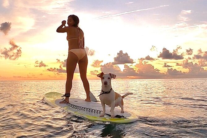 Sunrise Paddle Surf - Beach Briefing First: How You Get Ready to Paddle