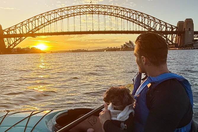 Sunrise Serenity Kayak Tour of Sydney Harbour - Why this sunrise timing feels worth the effort