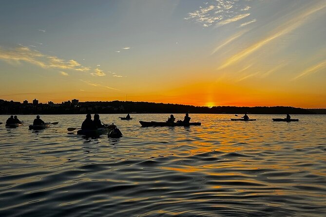Sunrise Serenity Kayak Tour of Sydney Harbour - Price and value: what you’re really paying for at $121.21