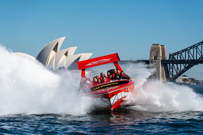 Sunrise Serenity Kayak Tour of Sydney Harbour - Who should book this kayak tour (and who might want a different plan)
