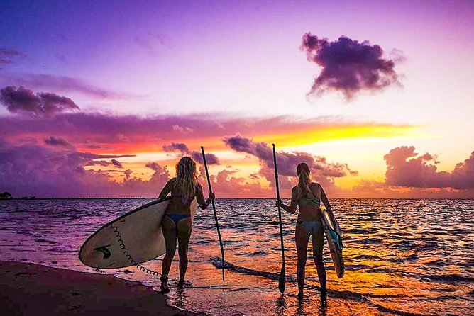 Sunrise Session - The #1 Paddleboard Tour On The Caribbean Sea - The Water Conditions Reality Check