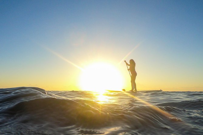 Sunrise Session - The #1 Paddleboard Tour On The Caribbean Sea - Price and Value: Why $50 Works for This Kind of Morning