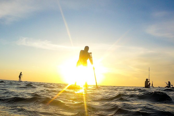 Sunrise Session - The #1 Paddleboard Tour On The Caribbean Sea - Paddling to Sunrise: What It Feels Like Out on the Caribbean