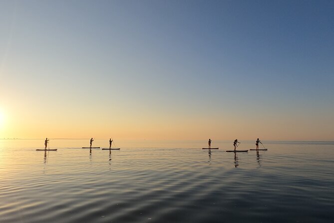 Sunrise SUP Caves Tour in Lagos – Small Group Experience - How hard is this SUP tour? The swimming requirement and beginner reality