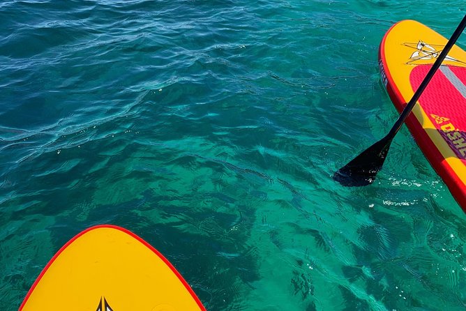 Sunrise SUP tour & breakfast - Private stand up paddle boarding experience - Stop 1: La Concha Beach and the joy of being first on the water
