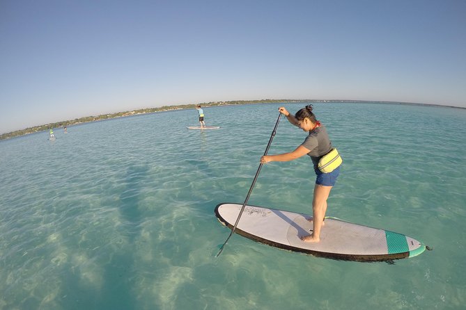 Sunrise Tour (Stand Up Paddle or Kayak) - Why a 6:00 am lagoon tour changes everything