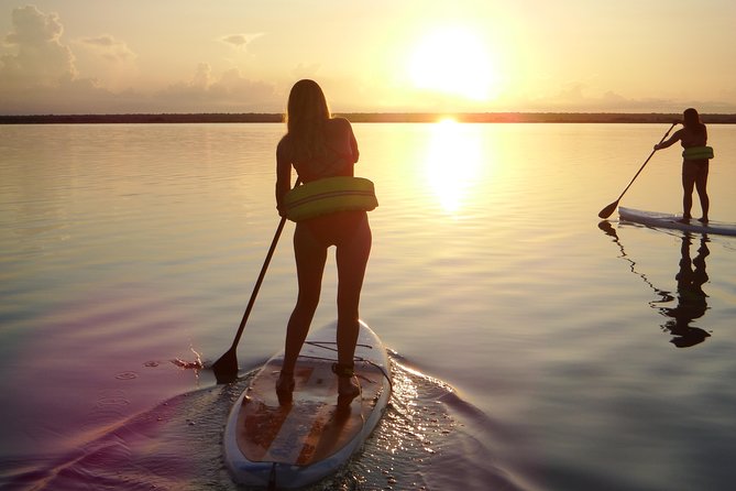 Sunrise Tour (Stand Up Paddle or Kayak) - Pirate Channel: where the route becomes a story