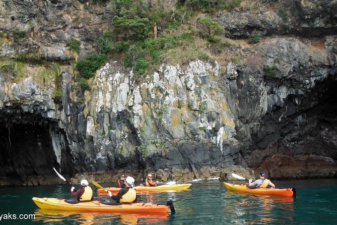 Sunrise wildlife sea kayaking in Akaroa marine reserve - From Akaroa Bowling Club to Your First Paddle Stroke