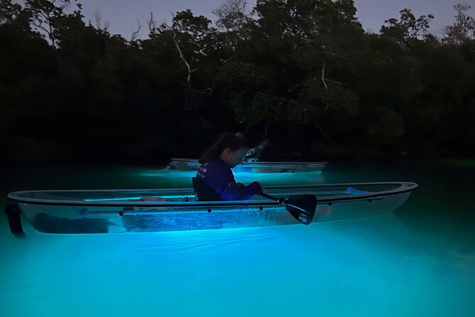 Sunset and Glow Clear Kayak Tour in North Naples - Quick hits