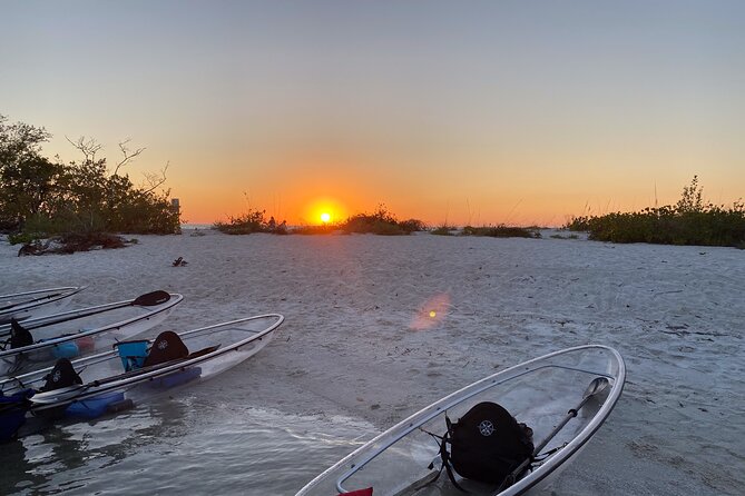 Sunset and Glow Clear Kayak Tour in North Naples - Where You Paddle: Wiggins Pass Mangroves and Gulf Views