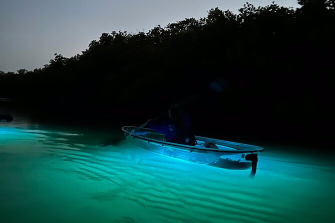 Sunset and Glow Clear Kayak Tour in North Naples - Sunset Timing and What You’ll Do After Dark